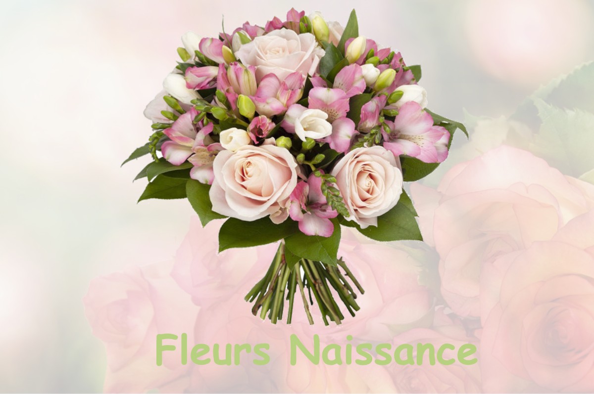 fleurs naissance REMOIVILLE