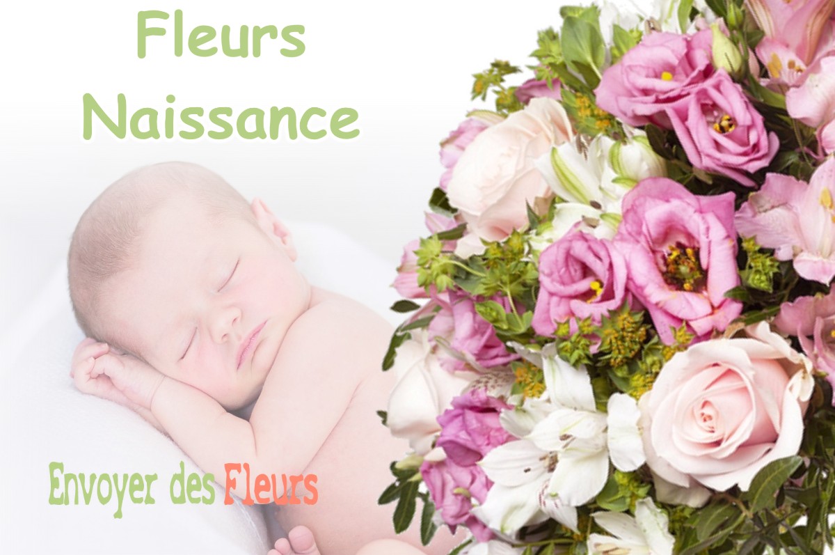 lIVRAISON FLEURS NAISSANCE à REMOIVILLE